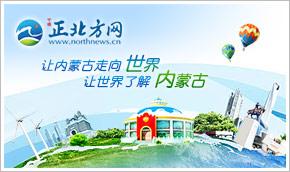 烏海市發放航空旅游補貼，助力旅行社與票務代理發展